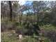 Lot 15 Yungarra Drive, Quedjinup WA 6281