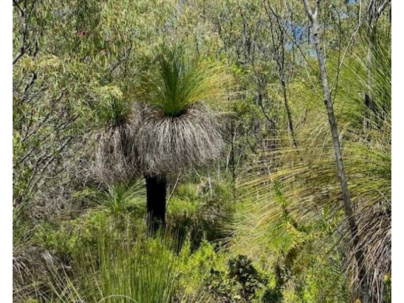 13 Marron Rise, Yallingup WA 6282