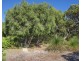 32 Kangaroo Parade, Yallingup WA 6282