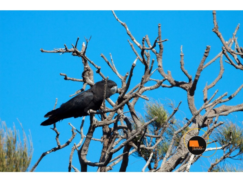 Lot 204 (70) and Lot 205 (72) Judd Road, Gracetown WA 6284