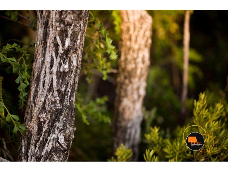 Lot 204 (70) and Lot 205 (72) Judd Road, Gracetown WA 6284