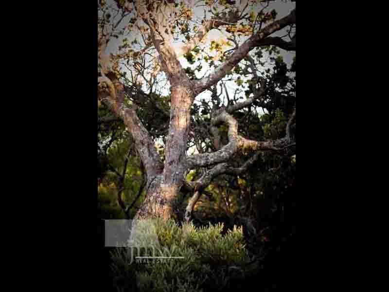 Lot 204 (70) and Lot 205 (72) Judd Road, Gracetown WA 6284