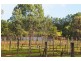 6 Cowrang Lane, Yallingup Siding WA 6282
