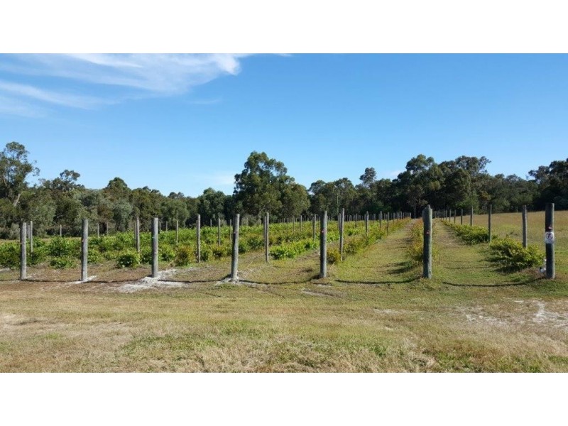 6 Cowrang Ln, Yallingup Siding WA 6282