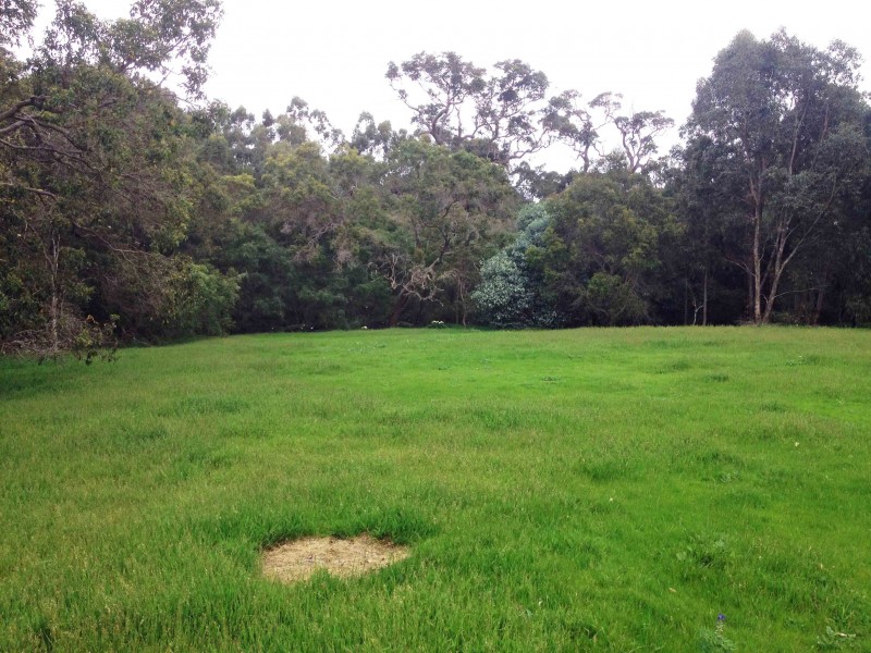 Lot 18 (191) Sheoak Drive, Yallingup WA 6282
