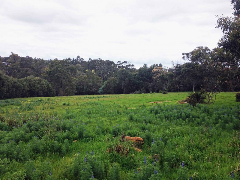 Lot 18 (191) Sheoak Drive, Yallingup WA 6282
