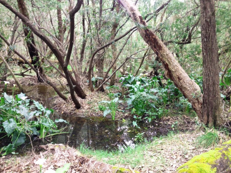 Lot 18 (191) Sheoak Drive, Yallingup WA 6282