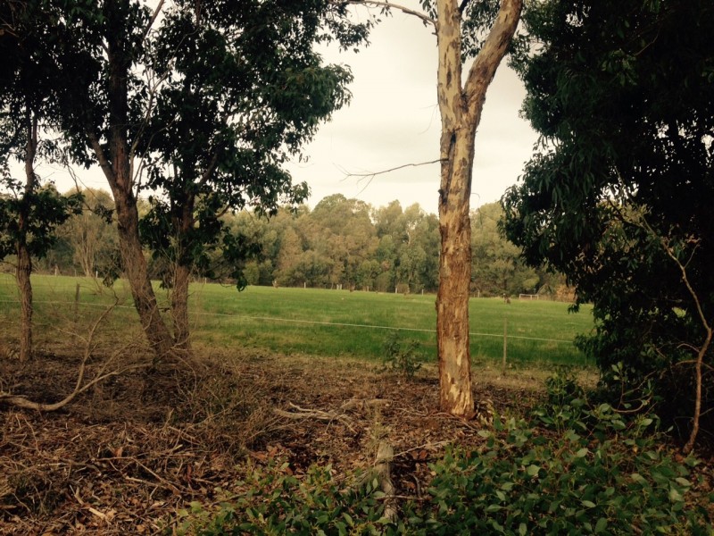 Lot 56 Biddle Road, Yallingup WA 6282