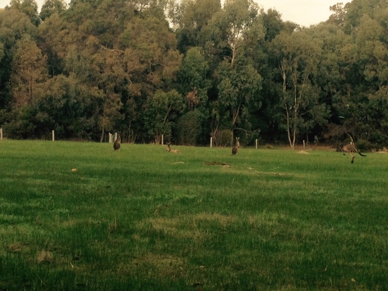 Lot 56 Biddle Road, Yallingup WA 6282