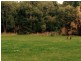Lot 56 Biddle Road, Yallingup WA 6282