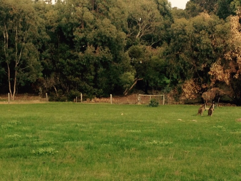 Lot 56 Biddle Road, Yallingup WA 6282