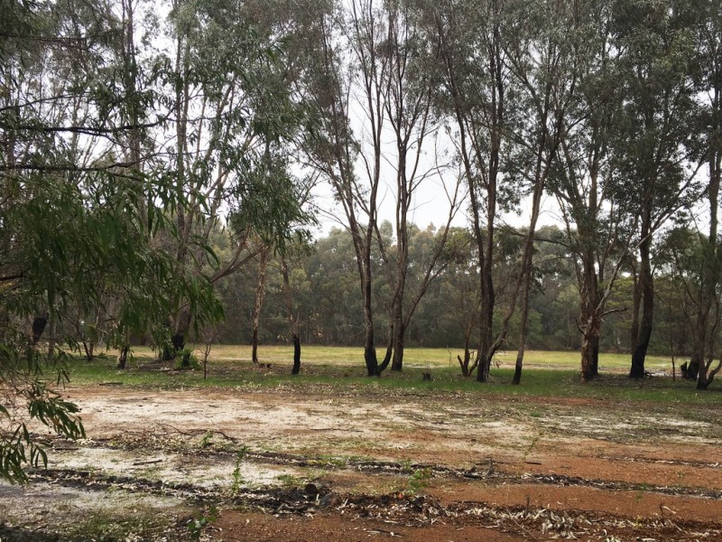 Lot 43 Maclaren Drive, Yallingup WA 6282