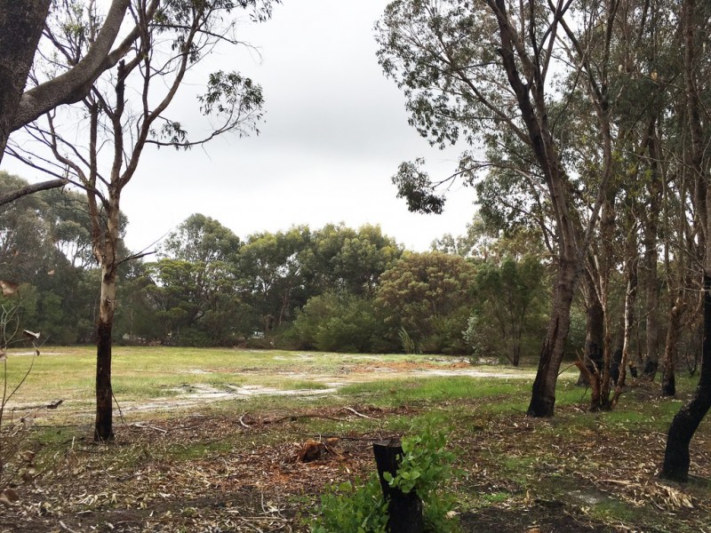 Lot 43 Maclaren Drive, Yallingup WA 6282