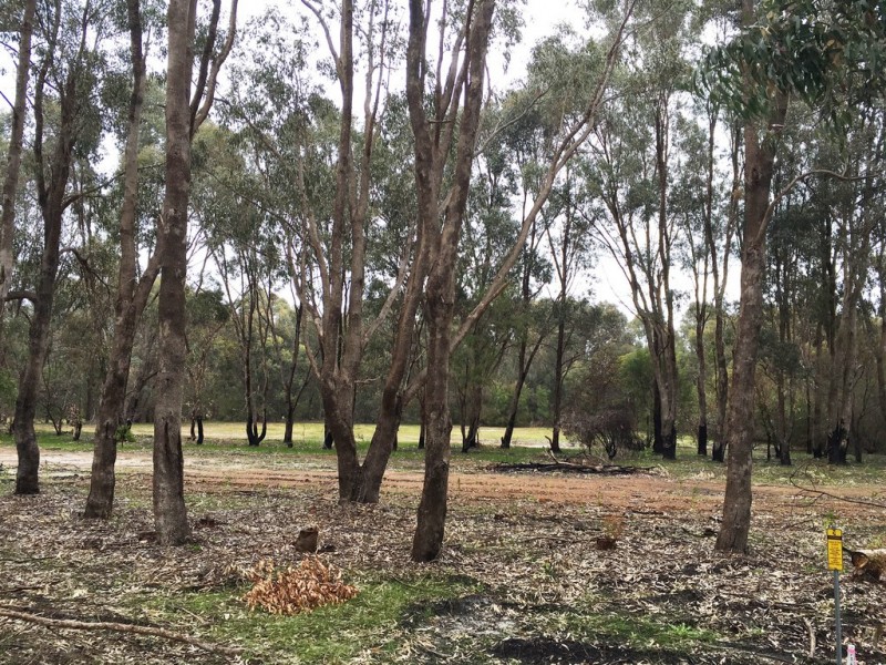 Lot 43 Maclaren Drive, Yallingup WA 6282