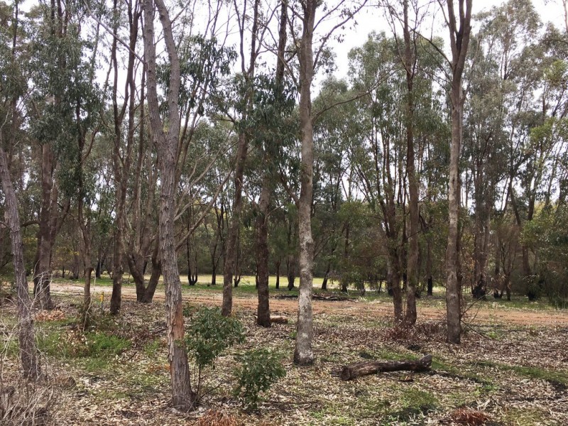 Lot 43 Maclaren Drive, Yallingup WA 6282