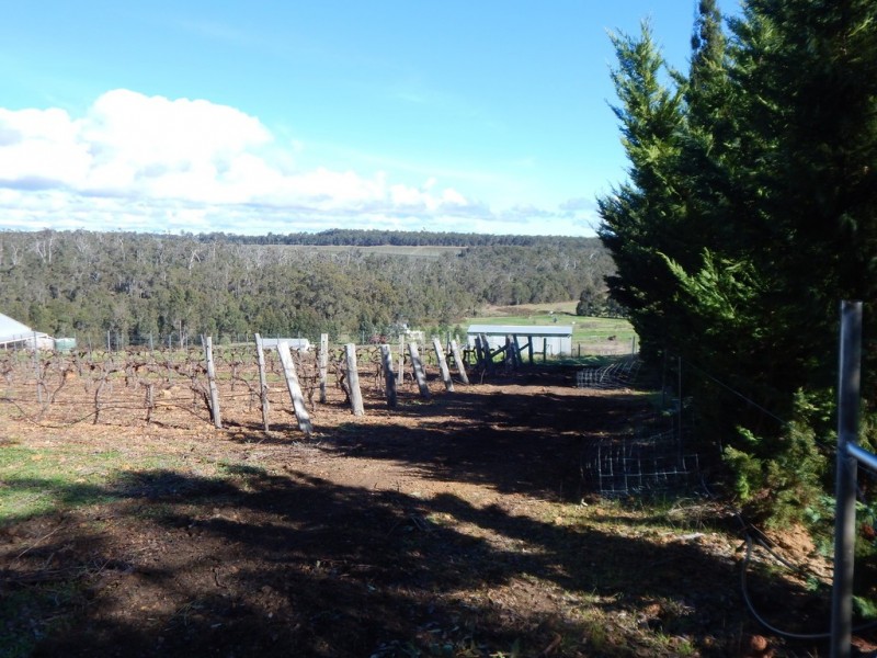 81 Hackett Road, Brookhampton WA 6239