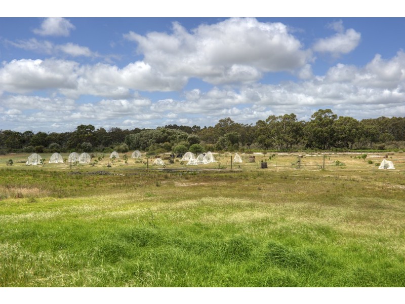 40 Broadhurst Road, Metricup WA 6280