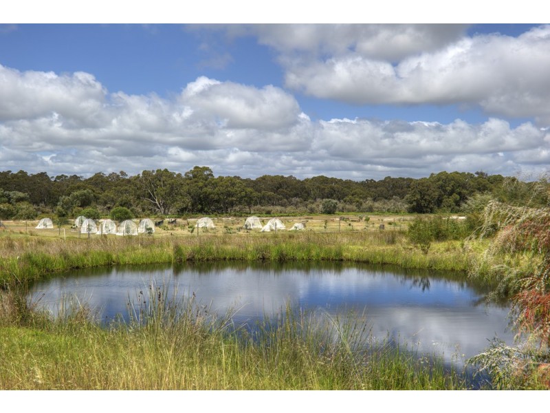 40 Broadhurst Road, Metricup WA 6280