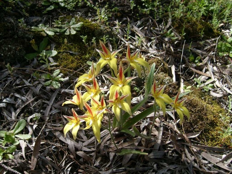 40 Broadhurst Road, Metricup WA 6280