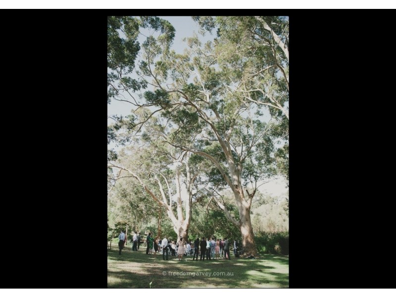 40 Forest Road – Karriview Lodge, Gracetown WA 6284