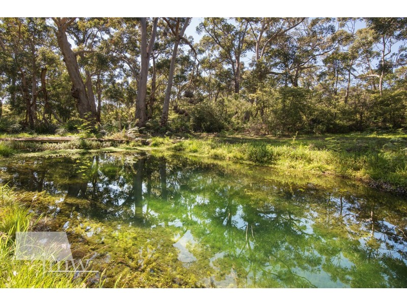 40 Forest Road – Karriview Lodge, Gracetown WA 6284