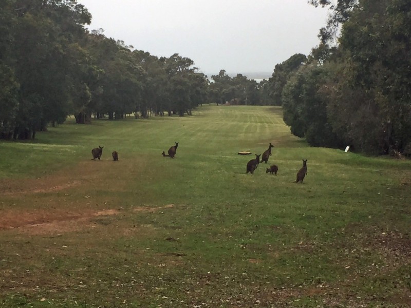 Lot 108 (5) Norfolk Street, Dunsborough WA 6281