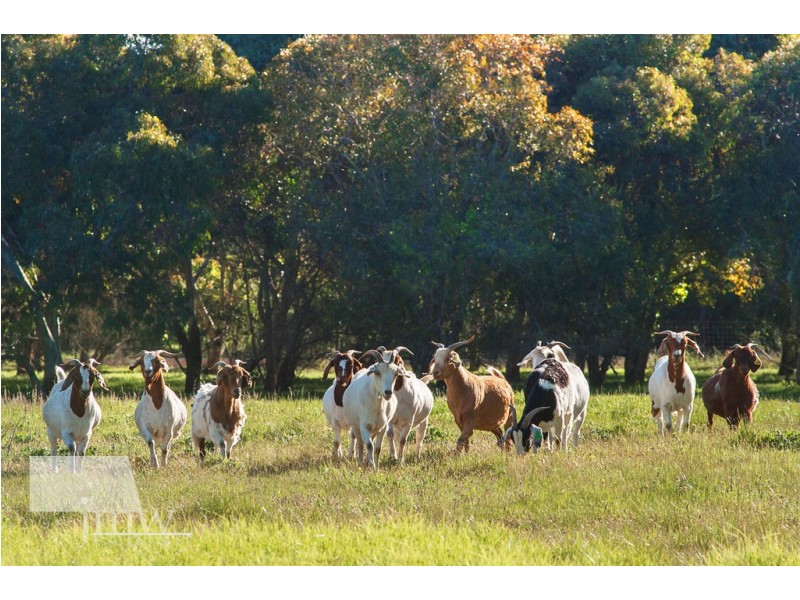 5021 Caves Rd, Cowaramup WA 6284