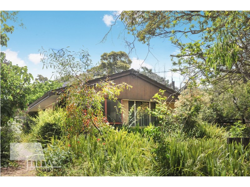 22 North Street, Dunsborough WA 6281