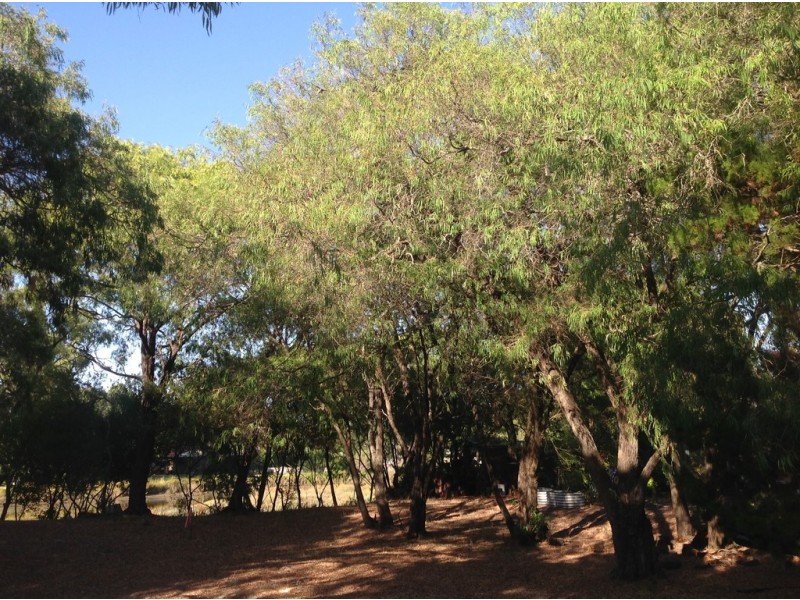 Prop L2/L170 on Exist Lot 278A Geographe Bay Road, Quindalup WA 6281