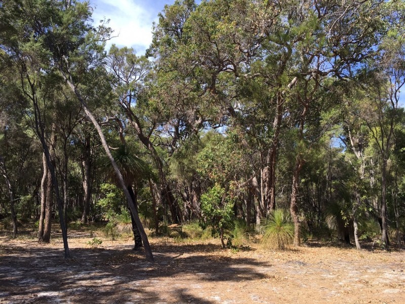 Lot 92 (99) Glover Road, Yallingup Siding WA 6282