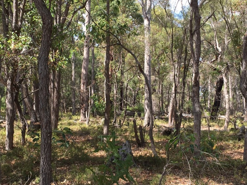 Lot 92 (99) Glover Road, Yallingup Siding WA 6282