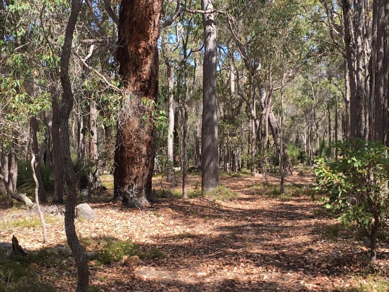 Lot 92 (99) Glover Road, Yallingup Siding WA 6282