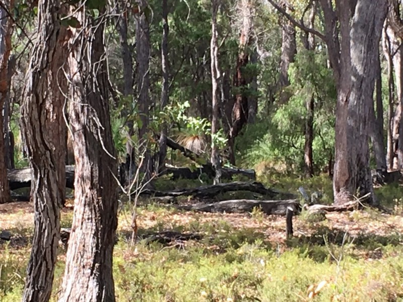 Lot 92 (99) Glover Road, Yallingup Siding WA 6282