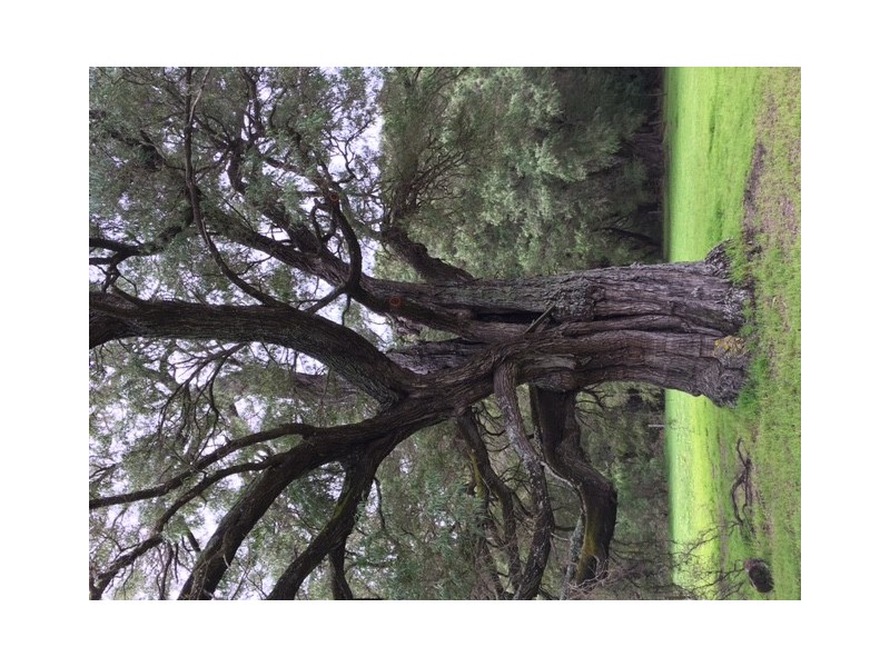 Lot 10 /1172 Wildwood Road, Yallingup Siding WA 6282