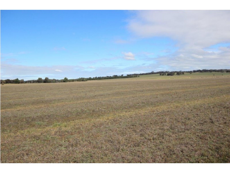 . ‘North Wardelocking’, Wagin WA 6315