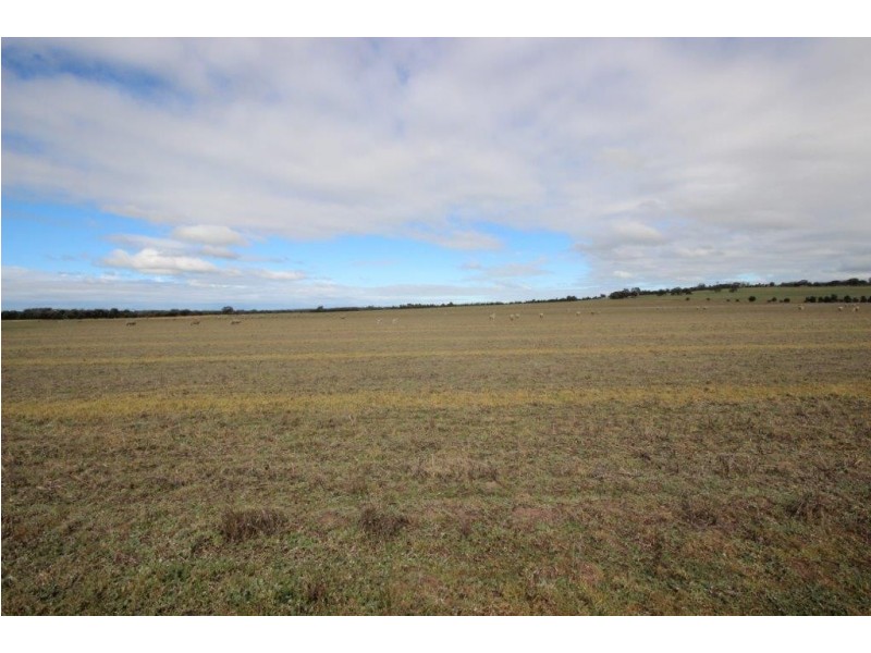 . ‘North Wardelocking’, Wagin WA 6315