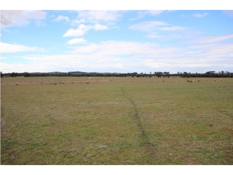 . ‘North Wardelocking’, Wagin WA 6315