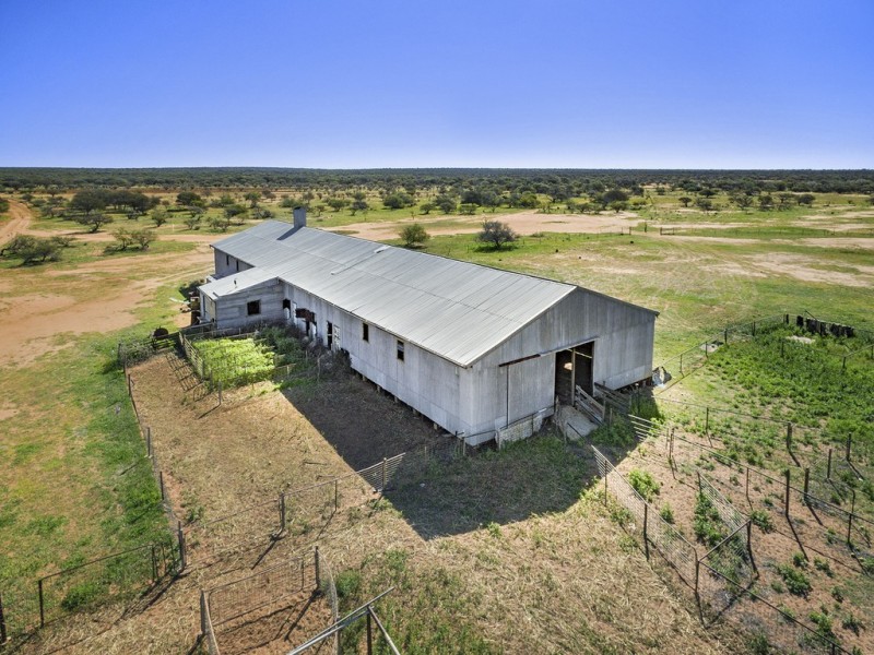 . ‘Jingemarra Station’, Yalgoo WA 6635