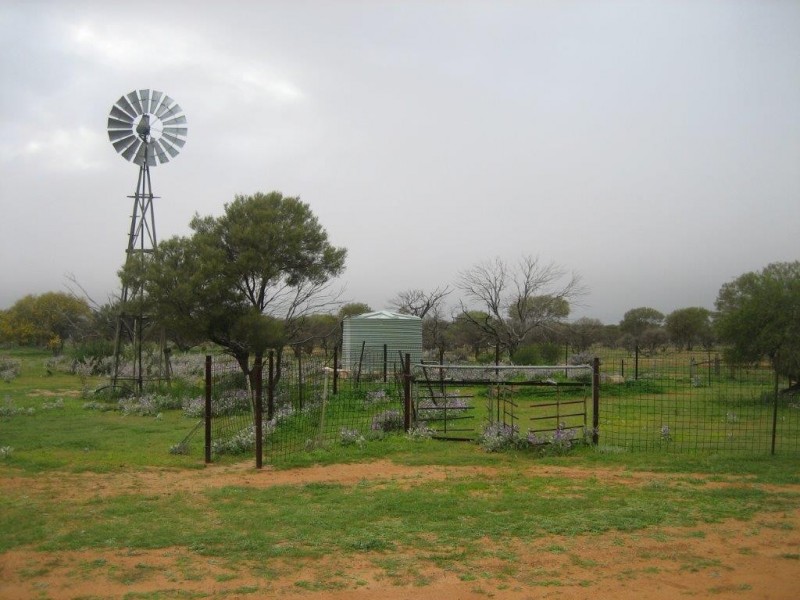 . ‘Jingemarra Station’, Yalgoo WA 6635