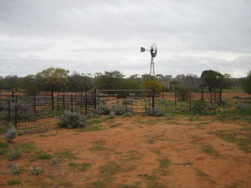. ‘Jingemarra Station’, Yalgoo WA 6635