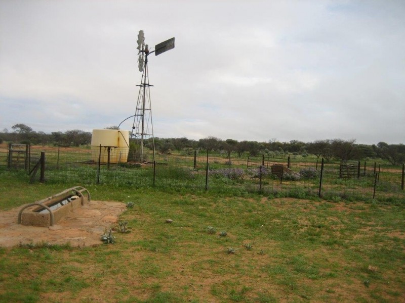 . ‘Jingemarra Station’, Yalgoo WA 6635