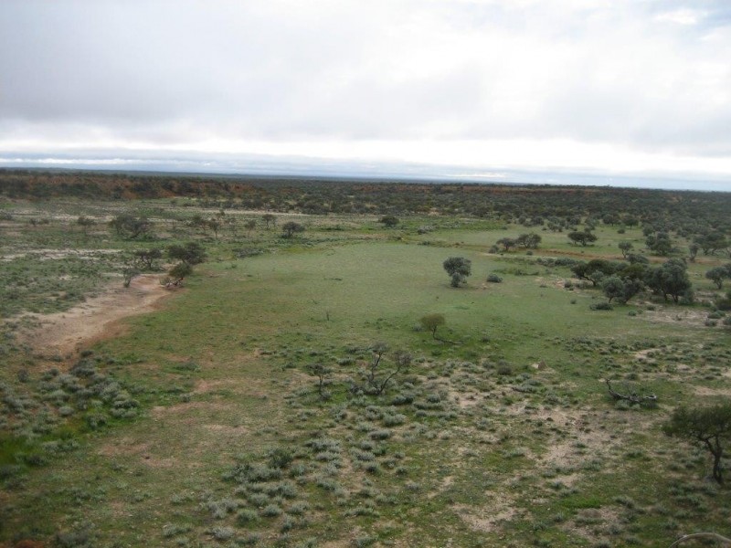 . ‘Jingemarra Station’, Yalgoo WA 6635