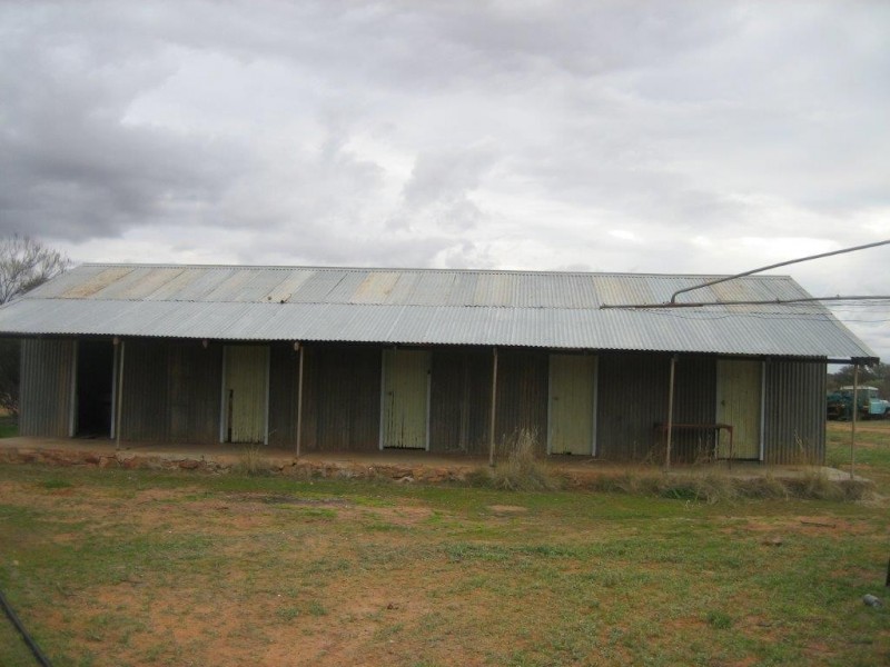 . ‘Jingemarra Station’, Yalgoo WA 6635