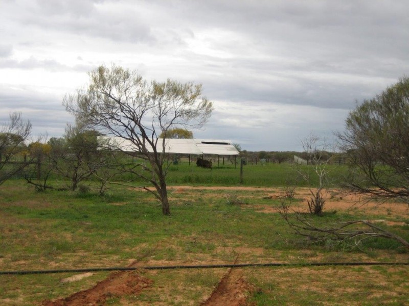 . ‘Jingemarra Station’, Yalgoo WA 6635