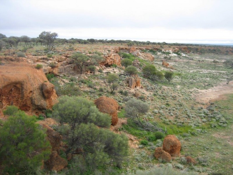 . ‘Jingemarra Station’, Yalgoo WA 6635