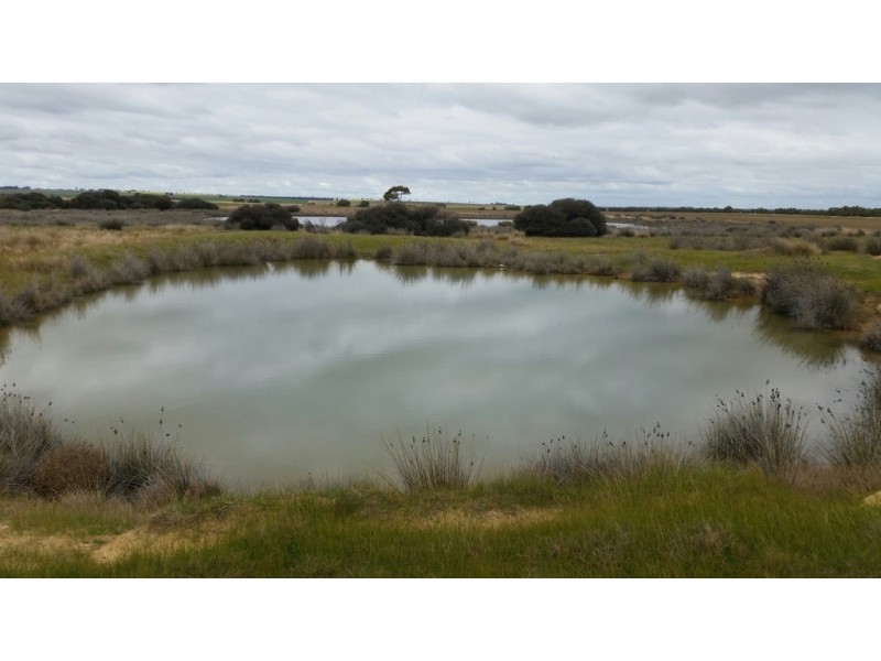 3887 Dowerin – Meckering Road, Meckering WA 6405