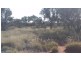 . ‘Erlistoun Station’, Laverton WA 6440