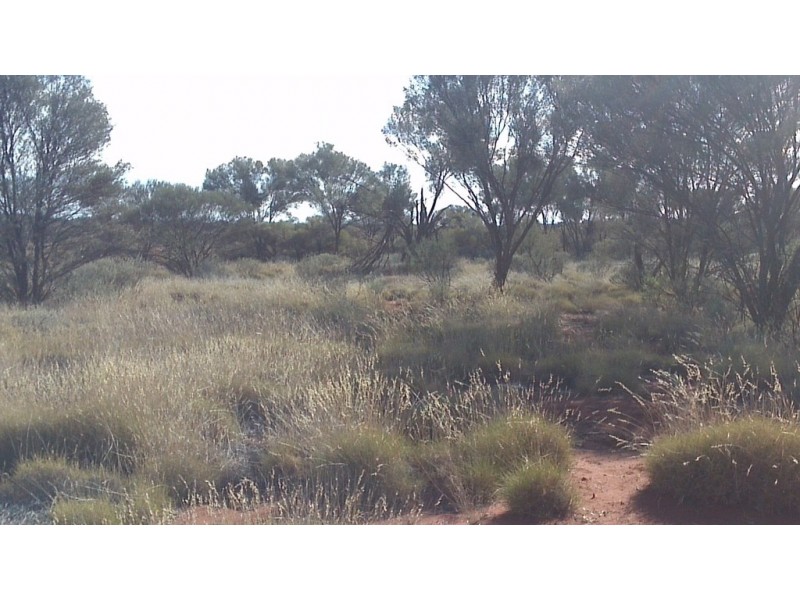 . ‘Erlistoun Station’, Laverton WA 6440