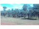 . ‘Erlistoun Station’, Laverton WA 6440