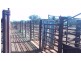 . ‘Erlistoun Station’, Laverton WA 6440